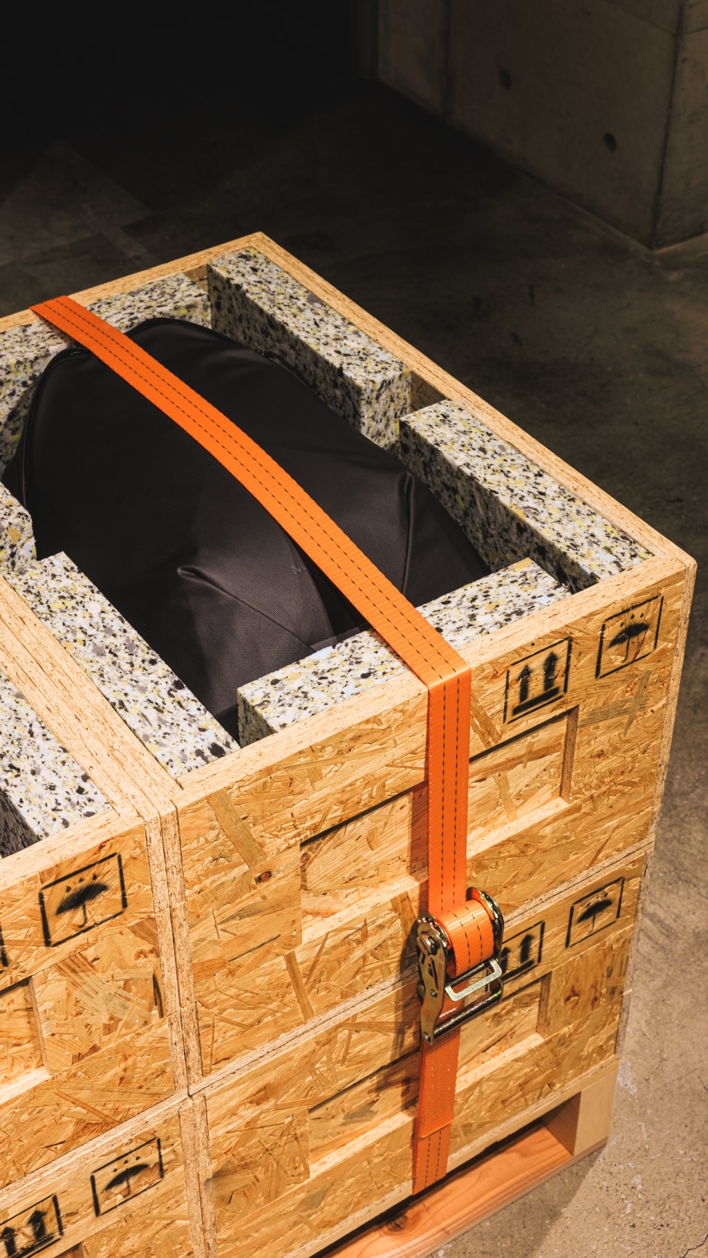 THE NORTH FACE&nbsp;BIOTITE_SS25